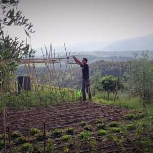Alessio is working on our vegetable gardens to produce a good quality seasonal products - Km zero tours slow travel Tuscany