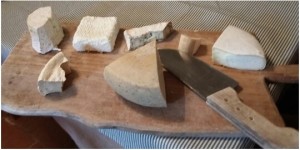 Goat cheese experience in Tuscany with Km Zero Tours