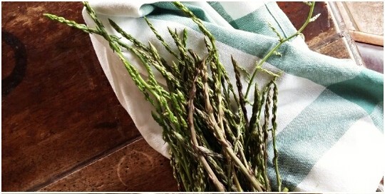 "Farm to table" pasta with wild asparagus with Km Zero Tours Slow Travel Tuscany