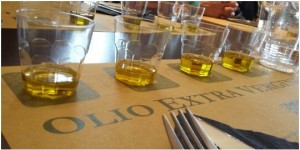 Tasting the various olive oils from Chianti region to discover the good qualities - Km Zero Tours - Slow Travel in Tuscany