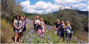 we love our work when we met great people who wants to discover the real, local and authentic Tuscany with us - Km Zero Tours - Slow Travel Chianti