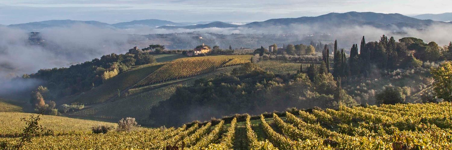 Tuscany Tours